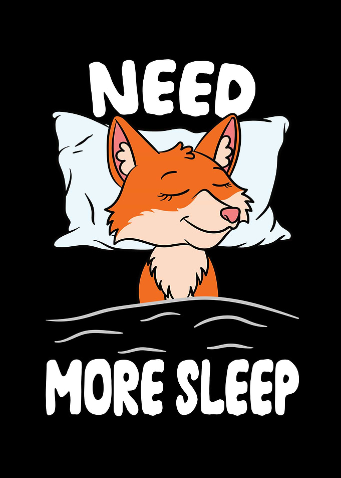Need more Sleep Fox