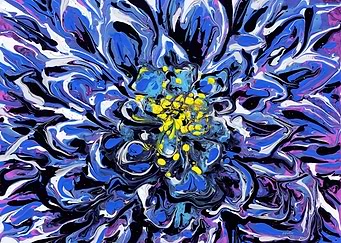 BlueYellow Aster Flower