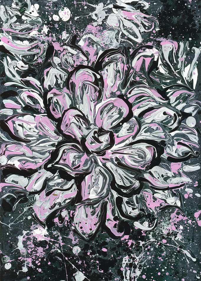Pink and Silver Aster