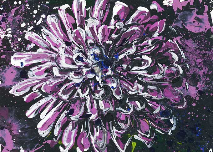 Pink and Blue Aster
