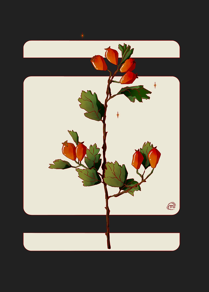 Rosehip
