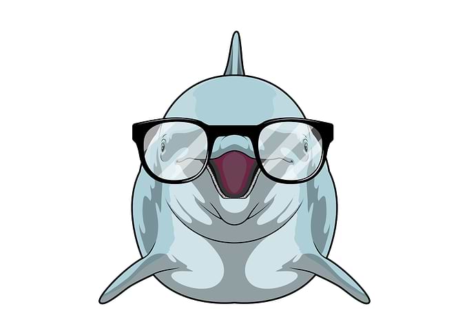 Dolphin Nerd Glasses