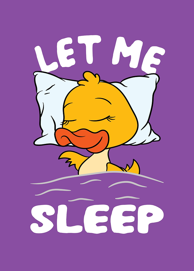 Duckling Let Me Sleep Duck