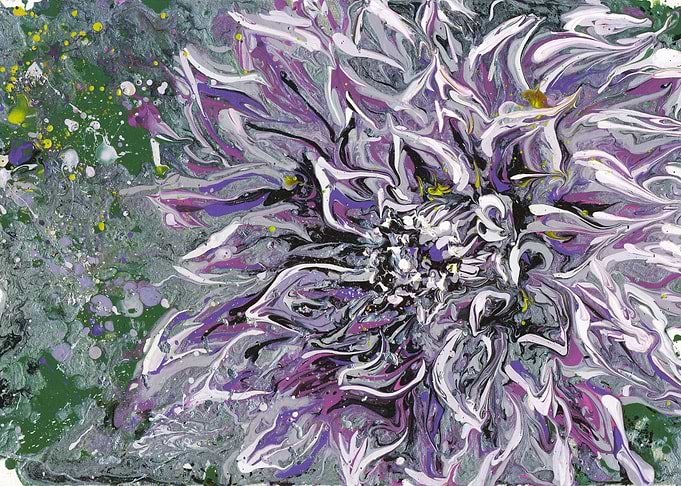 Light Purple Aster