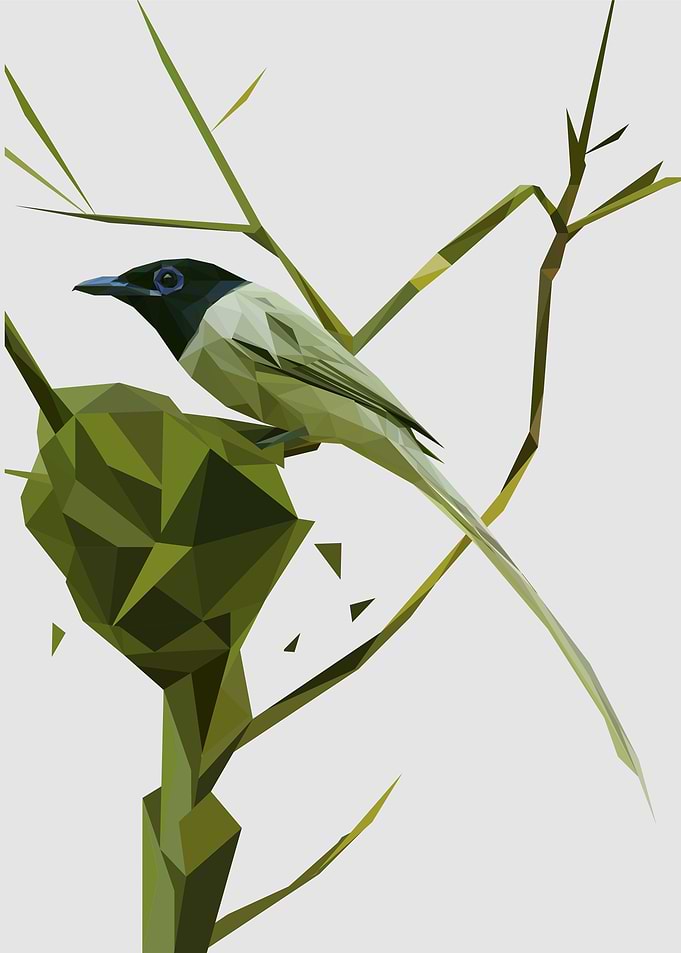 Katcher bird