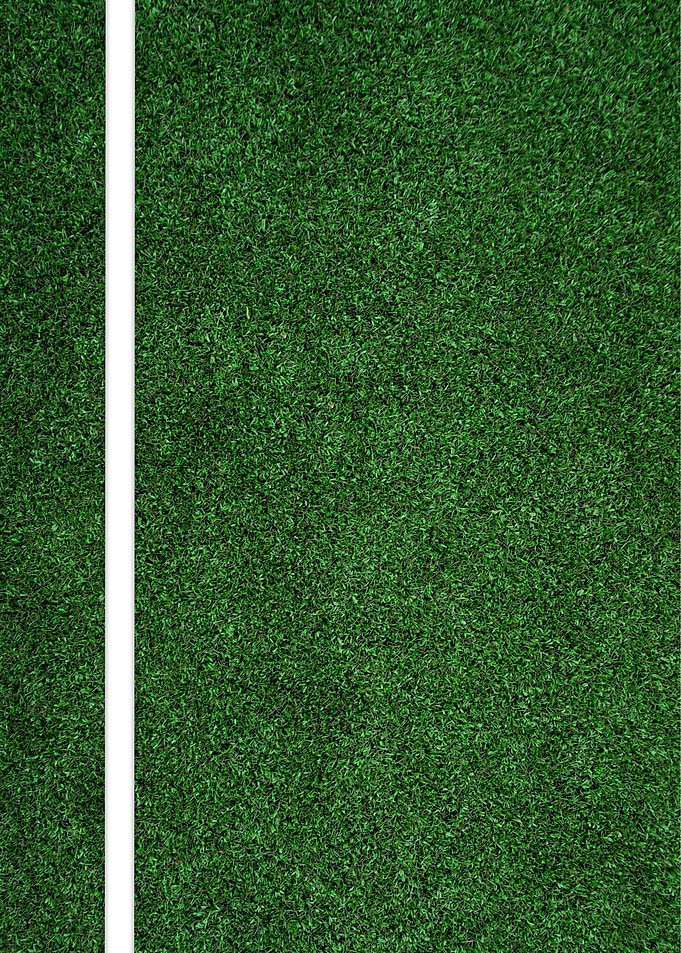 Grass