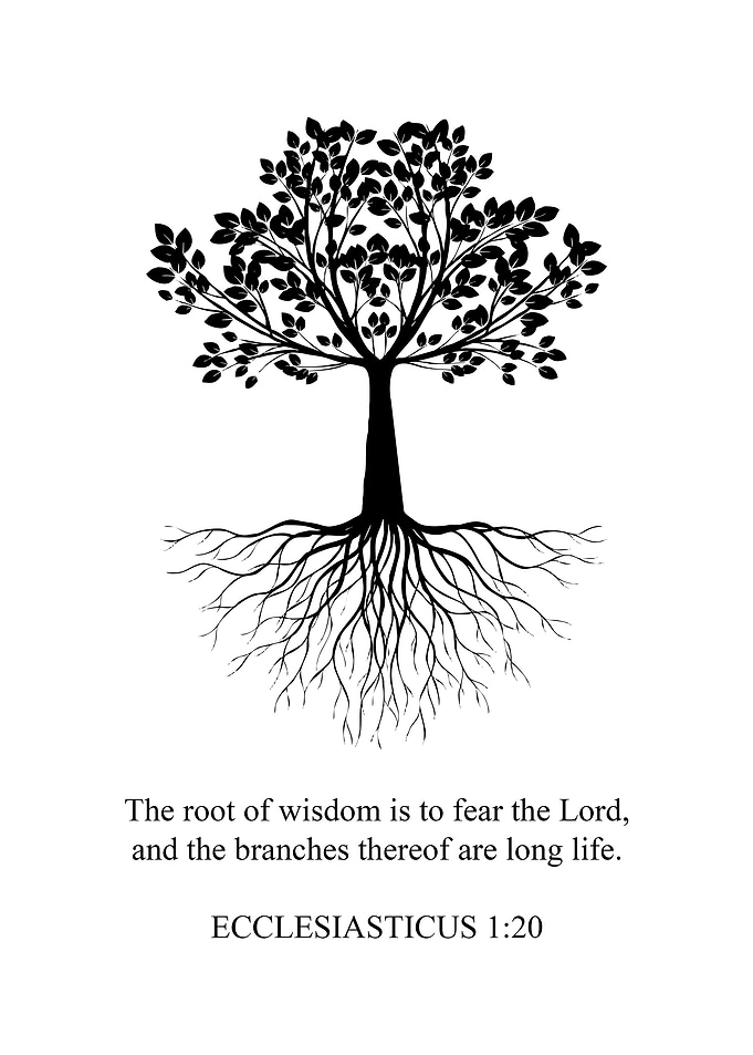 Wisdom Root and Branches