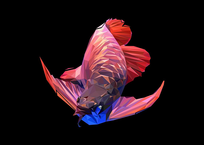 arowana fish