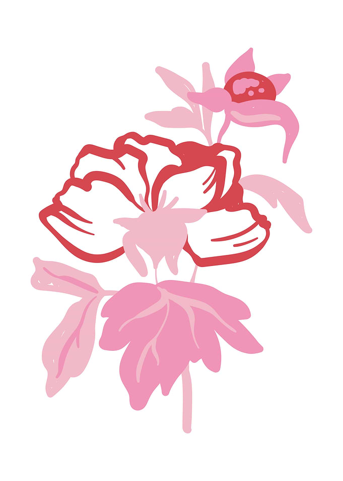 Pink Flower blossom art