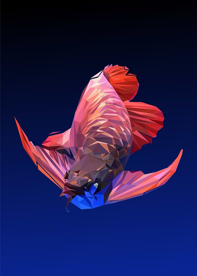 arowana fish