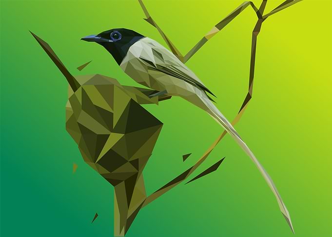 katcher bird
