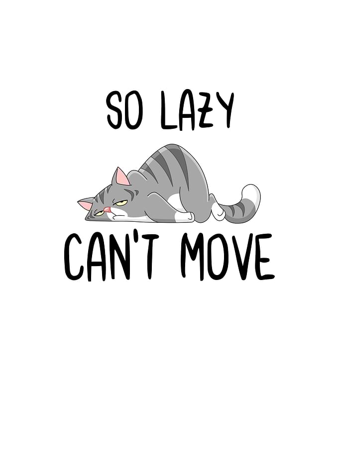 So Lazy Cant Move