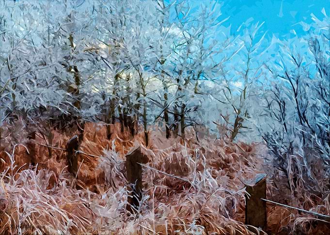 Morning Frost Winter