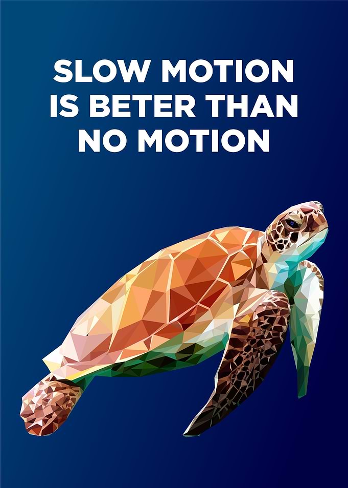 tortoise