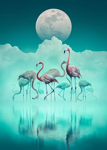 Flamingos in the Mist