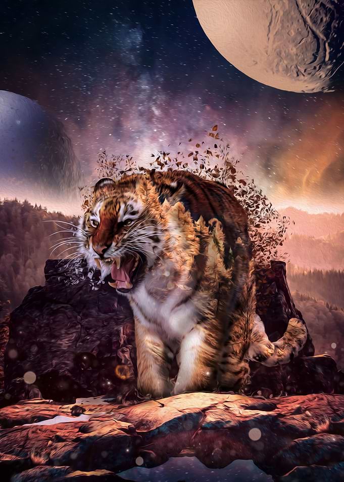 Tiger Space Dream