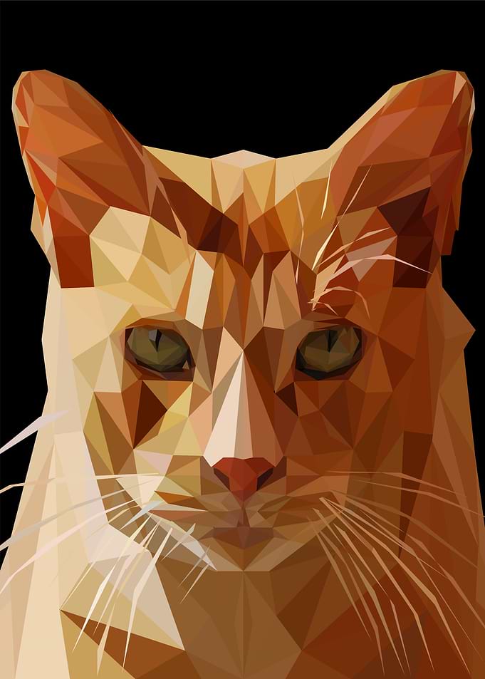 cat lovers