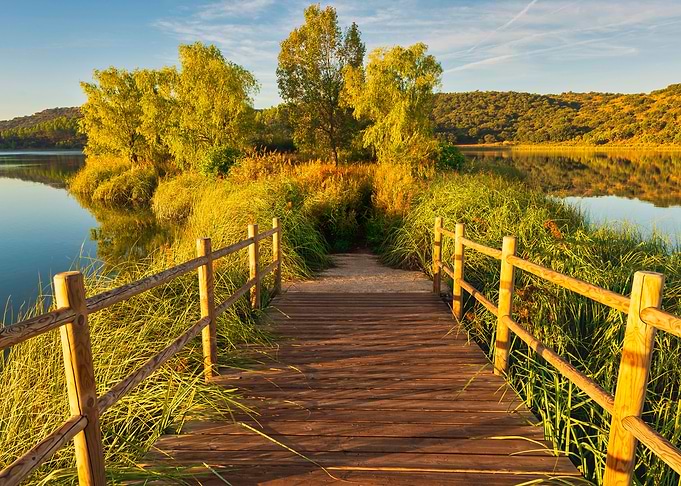 Wooden bridge on the lake