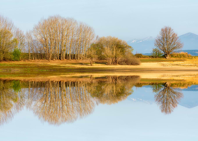 Calm lake and reflection