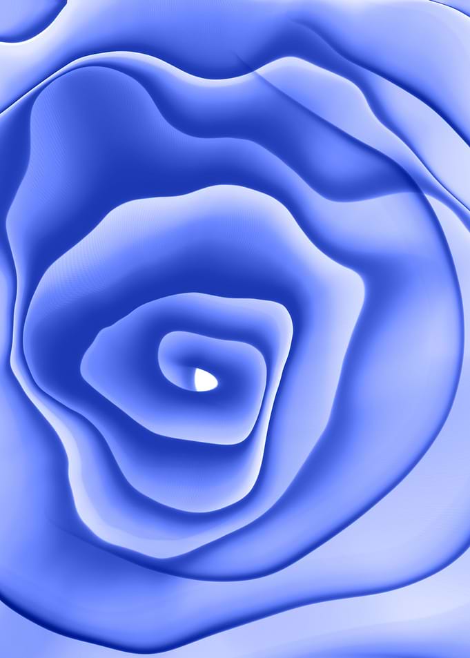 Rose Ink Background 21