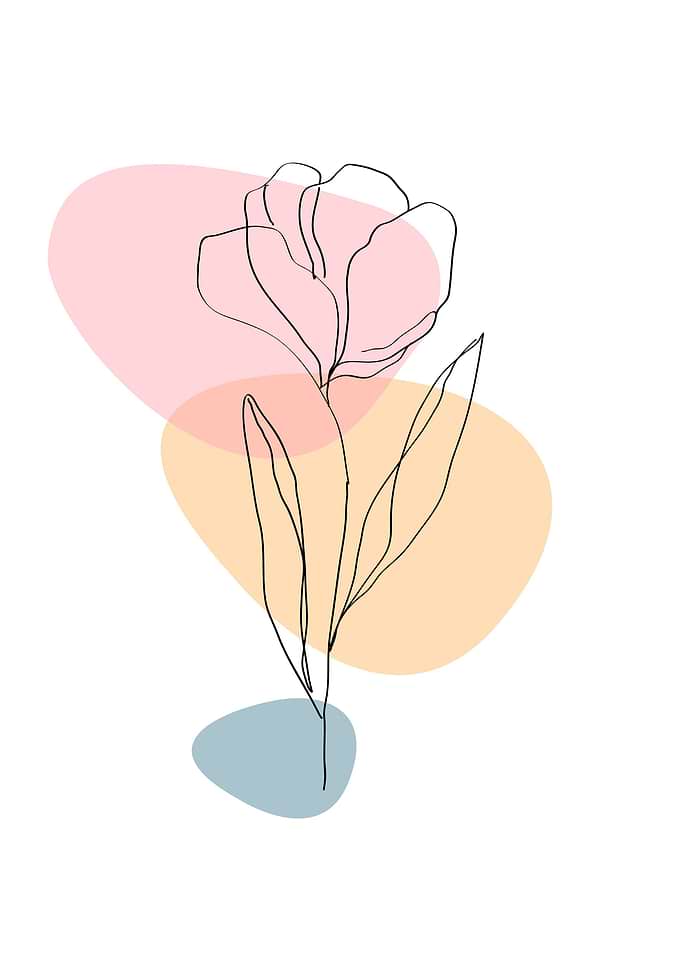 Aesthetic botanical poster