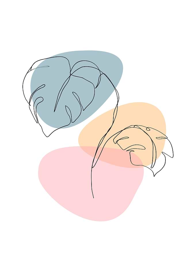 Aesthetic leaf line art