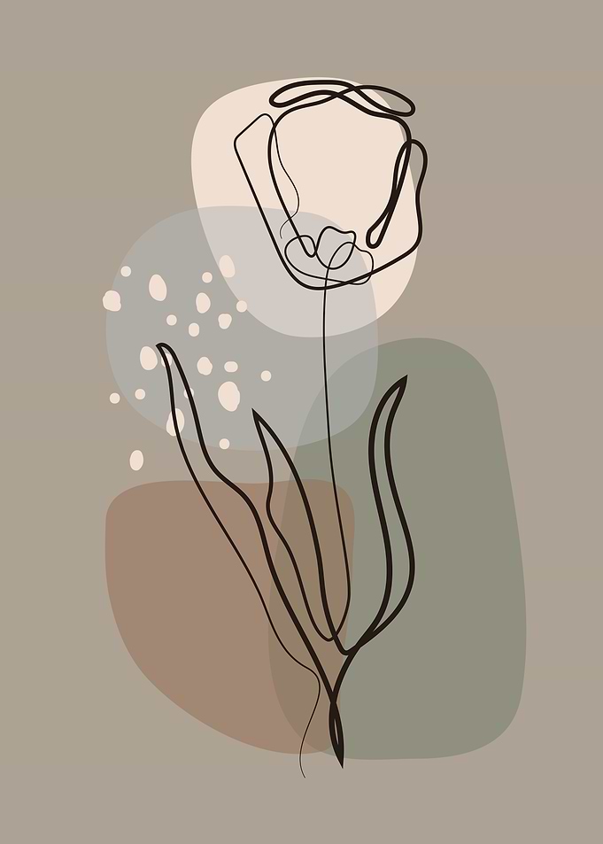 Cute Spring rose flower