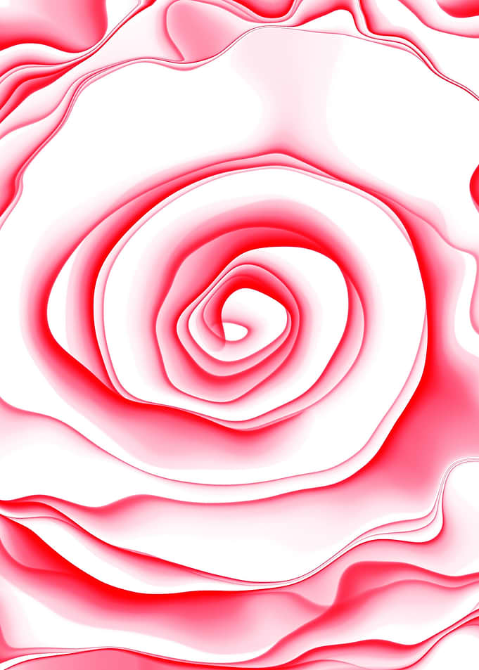 Rose Ink Background 04