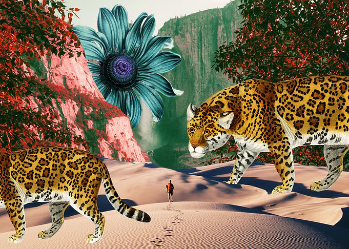 King of the jungle