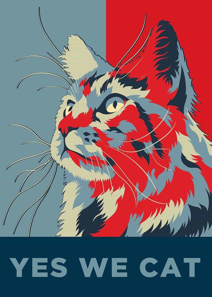 Yes We Cat