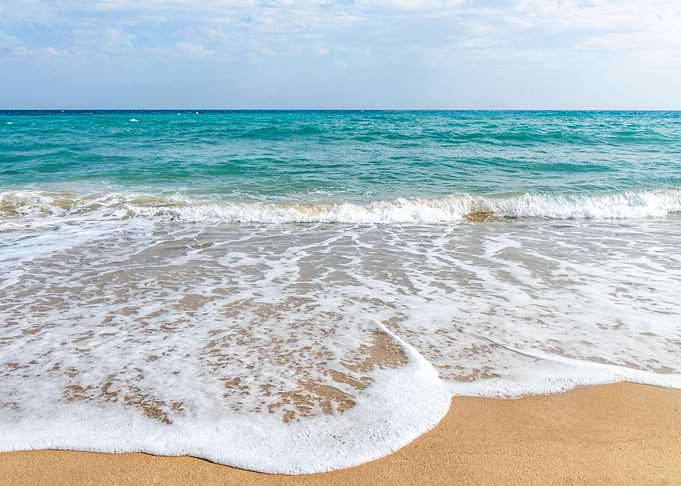 at the beach