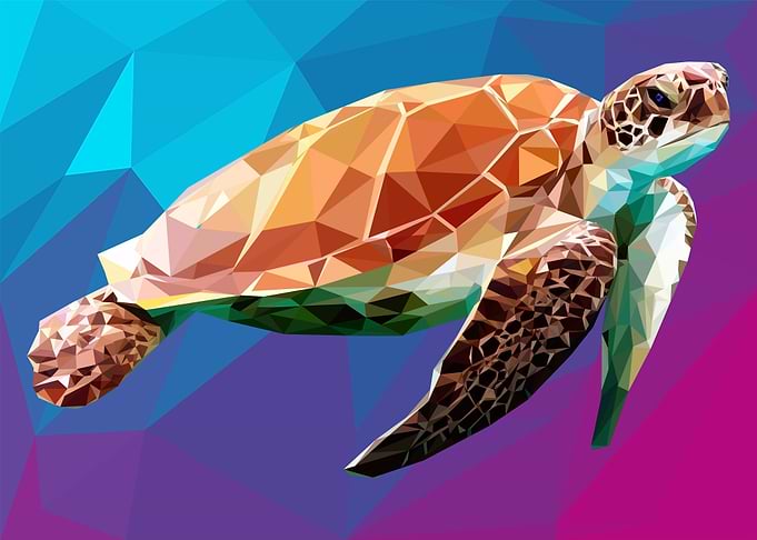 tortoise