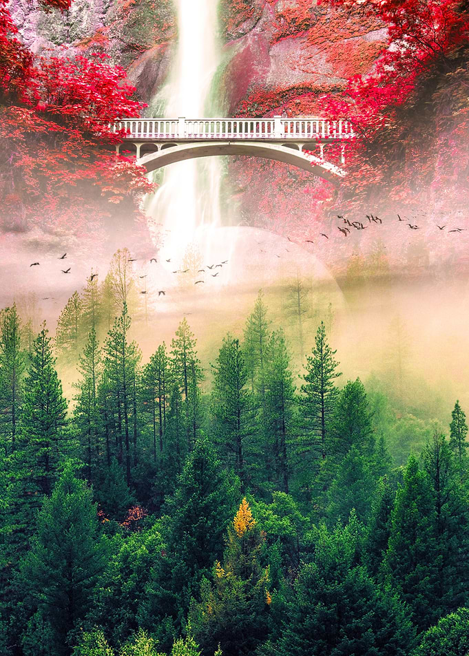 Green Garden Forest
