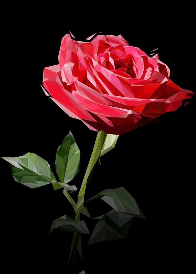 red roses