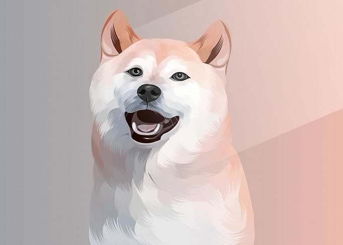 Shiba Inu
