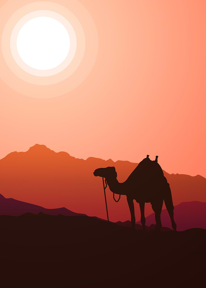 Middle East Desert