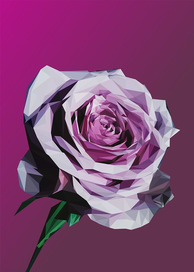 pink roses