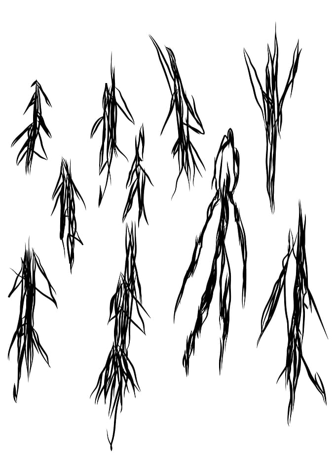 Slender Forest Page