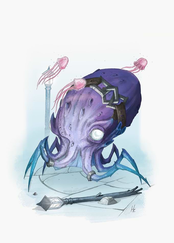 Octopus