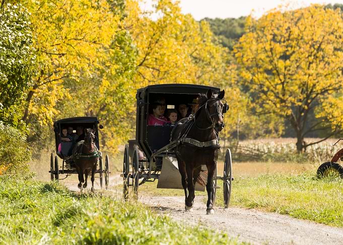 Countryside Amish Buggies