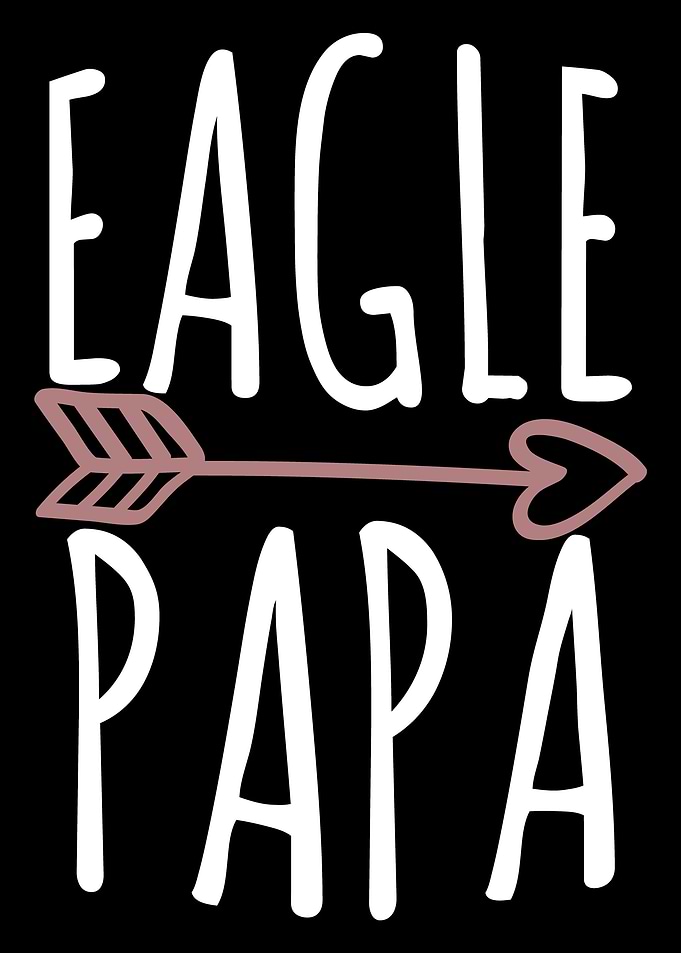 Eagle Papa Bald Eagle Amer