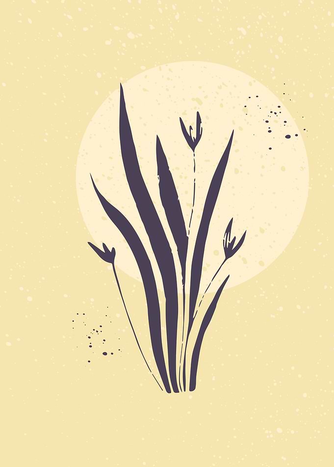 Summer botanical leaf