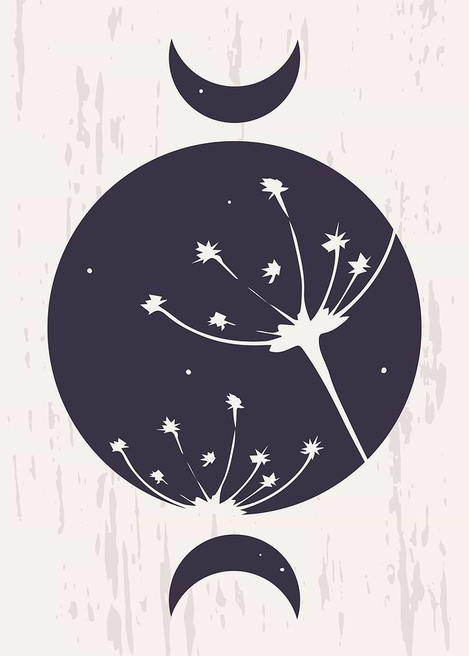 Moon phases with Plant art