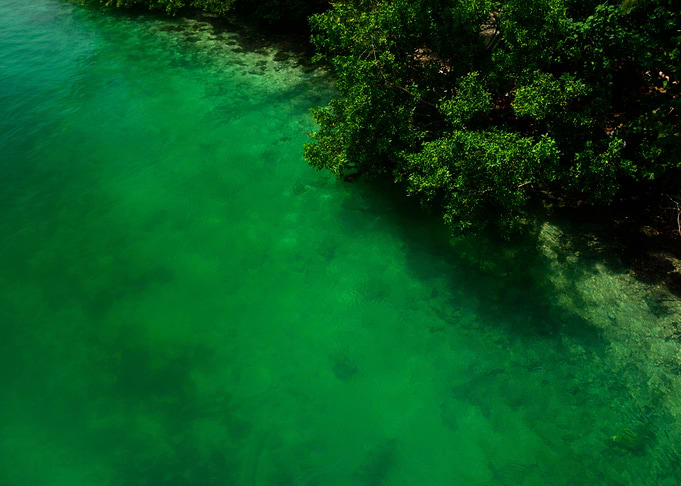 Green Lagoon