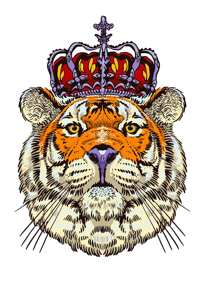 Tiger the King