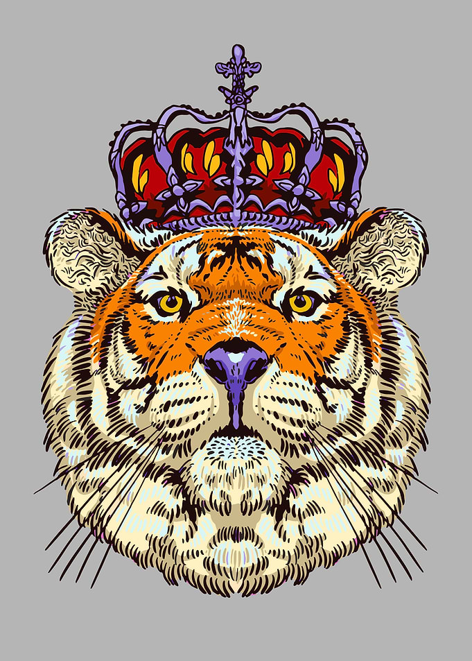 Tiger Animal the King