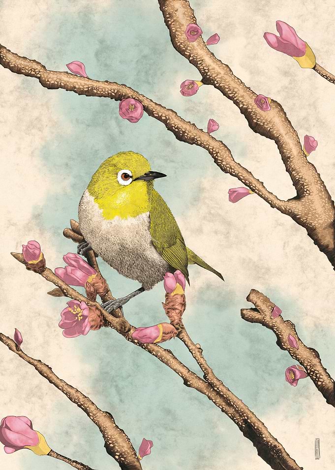 Yellow Bird
