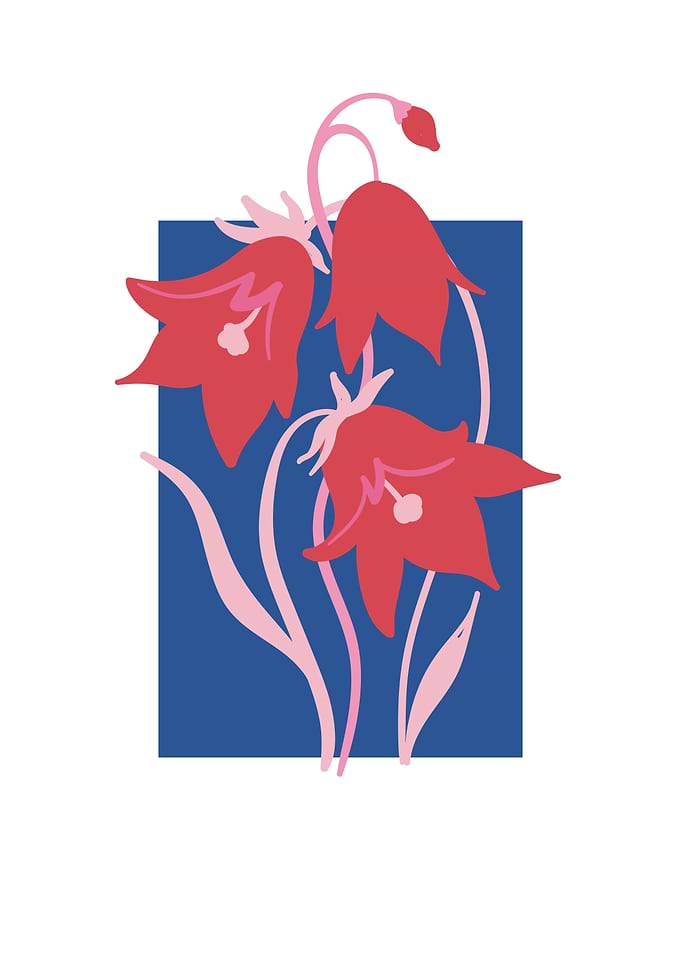 Botanical colorful floral