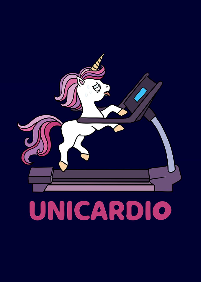 Unicardio Unicorn Cardio