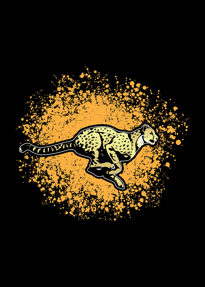 Cheetah